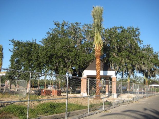 Cashio Cochran's big flourish--a palm in front of a pyramid hat building in front of an ancient live oak. Bam!